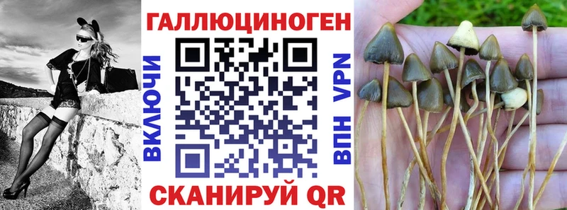 Купить закладки  Верхний Уфалей  Галлюциногенные грибы прущие грибы 